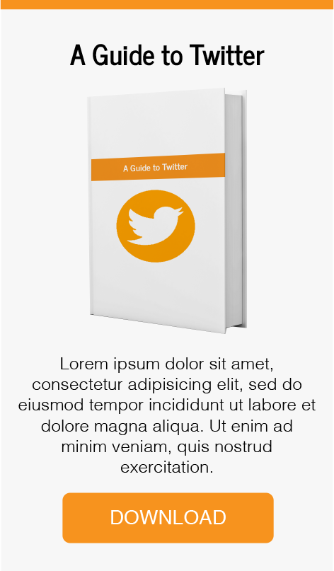 twitter-guide