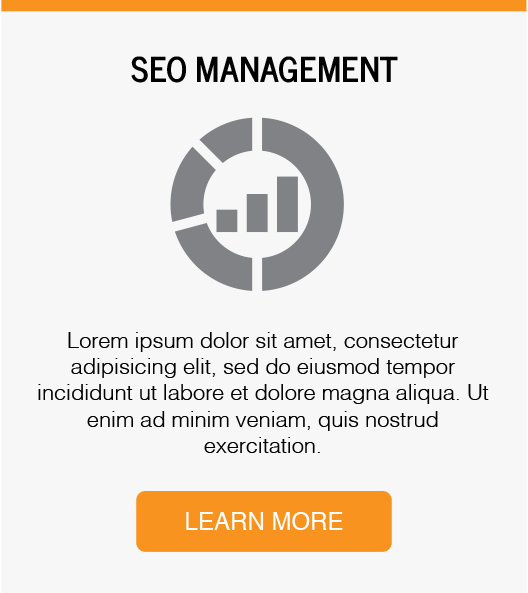 seo-management